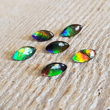 Ammolite triplet - Parcel of 6