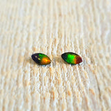 Ammolite triplet - Pair