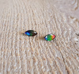 Ammolite triplet - Pair