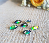 Ammolite triplet - Parcel of 6