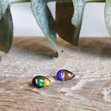 Ammolite triplet - Pair