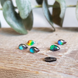 Ammolite triplet - Parcel of 6