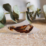 Agate du Montana, quartz