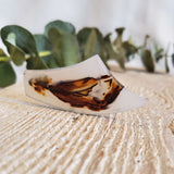 Agate du Montana, quartz