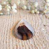 Agate du Montana, quartz