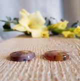 Pair of Montana agate, quartz
