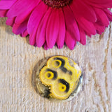 Bumblebee stone