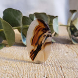 Agate du Montana, quartz