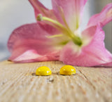 Bumblebee stone - Pair
