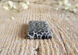 Fossilized coral
