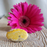 Bumblebee stone