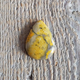 Bumblebee Stone