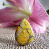 Bumblebee Stone