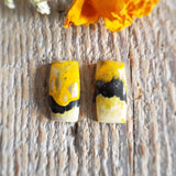 Bumblebee stone - Pair