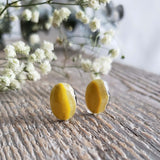 Bumblebee stone - Pair