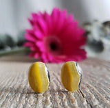 Bumblebee stone - Pair