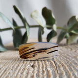 Agate du Montana, quartz
