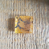 Dendritic quartz