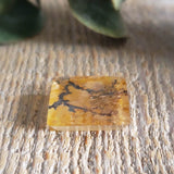Dendritic quartz