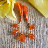 Spessartine Garnet Briolettes