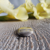 Bumblebee stone