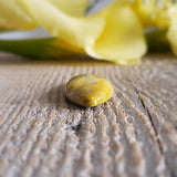 Bumblebee stone
