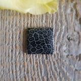 Fossilized coral