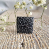 Fossilized coral