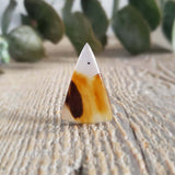 Agate du Montana, quartz