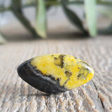 Bumblebee stone