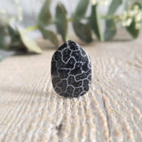 Fossilized coral