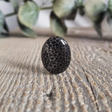 Fossilized coral