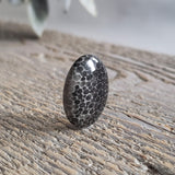 Fossilized coral