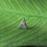 Meteorite, Muonionalusta