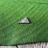 Meteorite, Muonionalusta