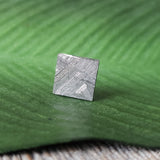 Meteorite, Muonionalusta