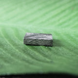 Meteorite, Muonionalusta