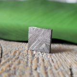Meteorite, Muonionalusta