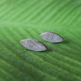 Meteorite, Muonionalusta - Pair