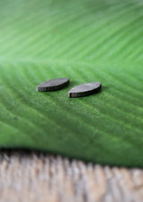 Meteorite, Muonionalusta - Pair