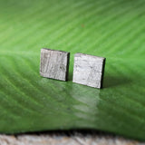 Meteorite, Muonionalusta - Pair