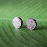 Meteorite, Muonionalusta - Pair