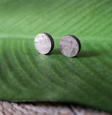 Meteorite, Muonionalusta - Pair