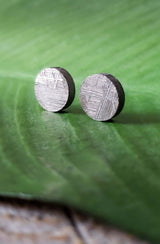 Meteorite, Muonionalusta - Pair