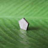 Meteorite, Muonionalusta