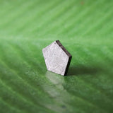 Meteorite, Muonionalusta