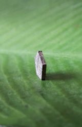 Meteorite, Muonionalusta