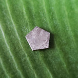 Meteorite, Muonionalusta