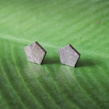 Meteorite, Muonionalusta - Pair