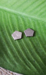 Meteorite, Muonionalusta - Pair